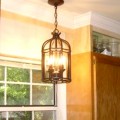July 2008 041