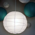 IMG_1710