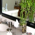 after bathroom wiht black vanity