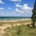 36 Cool Breeze