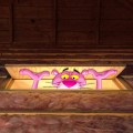 attic_pinkpantherpeeking
