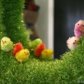 IMG_2861.jpg