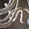 diy chandelier featured image
