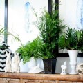 Driftwood-Interiors