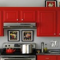feature pic red cabinets