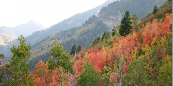 Smells Like Fall Giveaway!