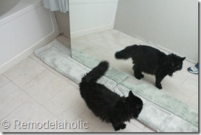 Framing a large bathroom mirror (3)