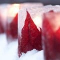 BHG poinsettia luminaries