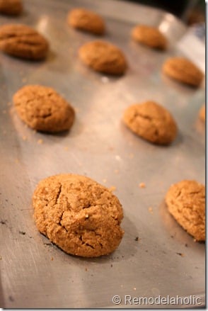 Chewy Ginger bread cookies3
