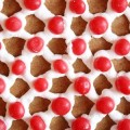 Gingerbread-Houses-7.jpg