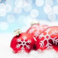 ornament picture small