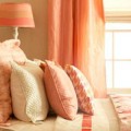 Coral feature pic