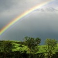 rainbow photo