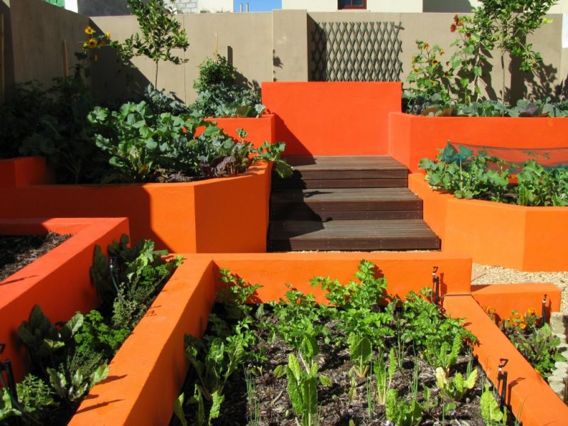 Bold Orange Edible Garden