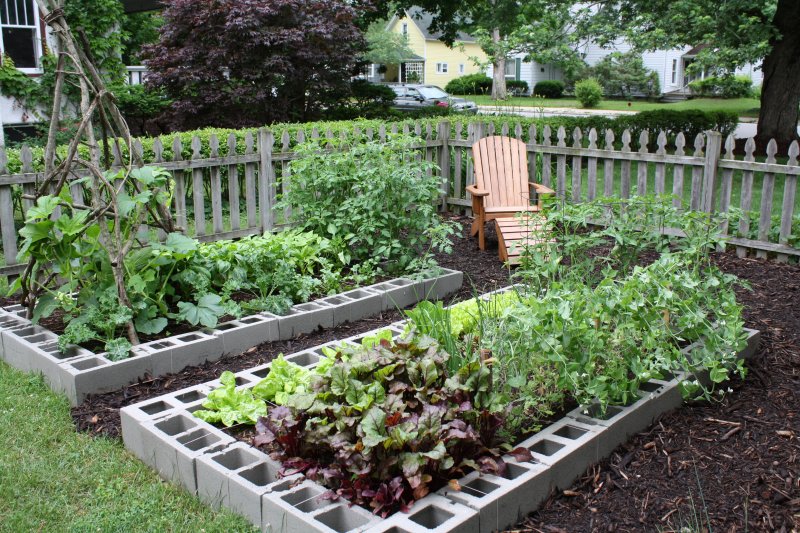 Cinder Block Raised Beds