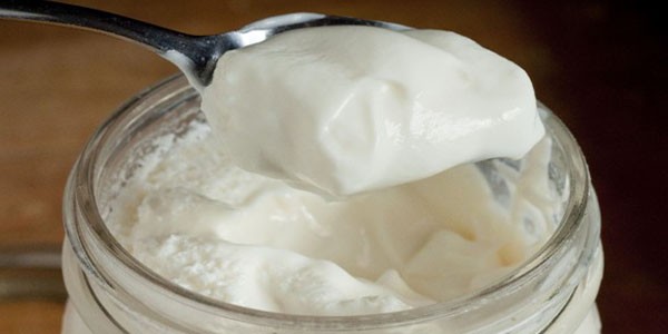homemade yogurt recipe