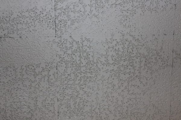 Ceiling Tile Before by Maple Leaves and Sycamore Trees on Remodelaholic