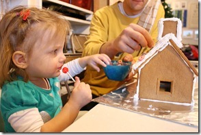 Gingerbread Houses (11)