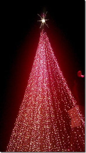 Temple Square Lights (1)