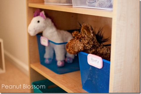 Peanut Blossom Vet corner
