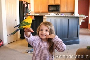 black board and batten kitchen island makeover-22