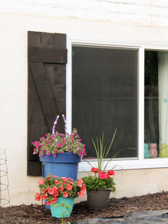 Cropped Wood Shutters 19.jpg