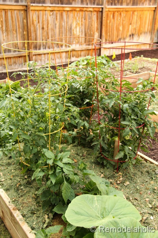 Tips for Winterizing Your Summer Garden via Tipsaholic