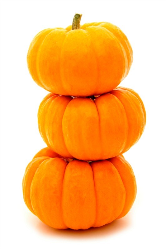 10 No-Carve Pumpkin Ideas via Tipsaholic.com