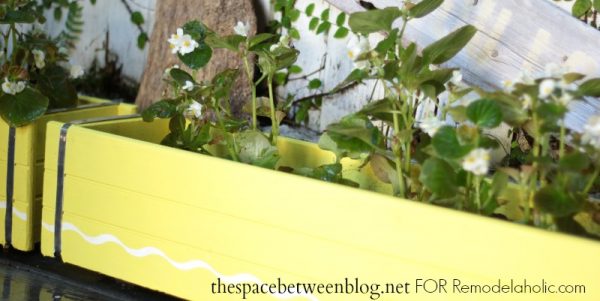 bold color planters