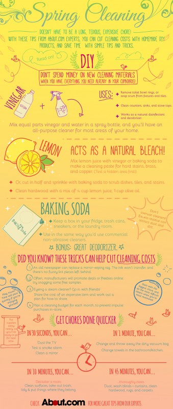 Spring Cleaning: DIY & Time Saving Tips - Tipsaholic.com