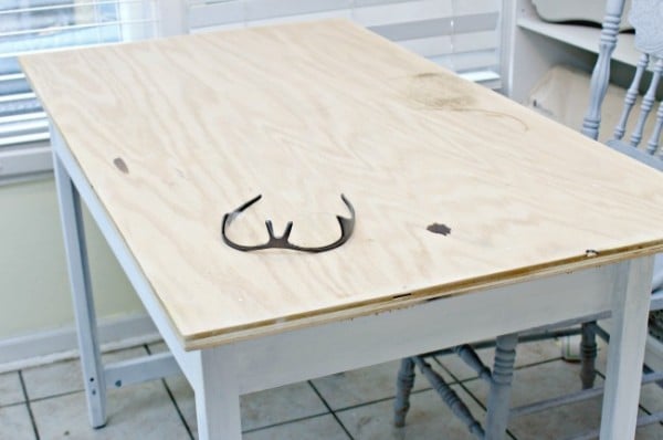 Plywood desktop