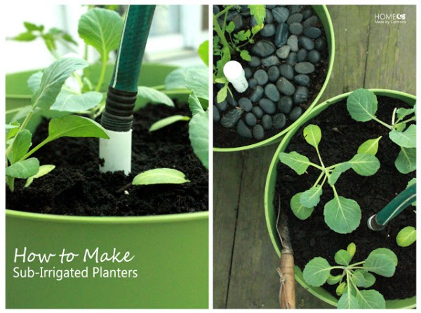 Sub-Irrigated Planters Tutorial
