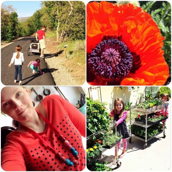 may instagram