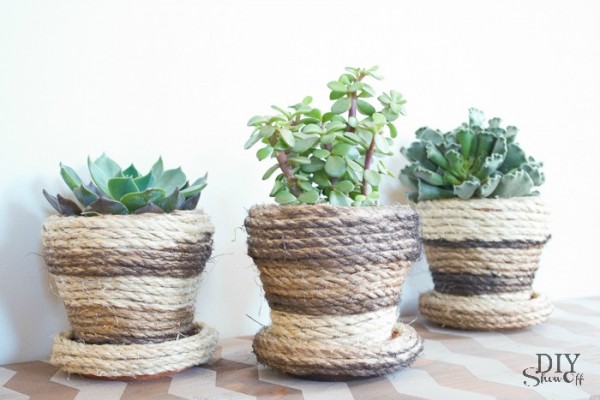 sisal rope succulent pots