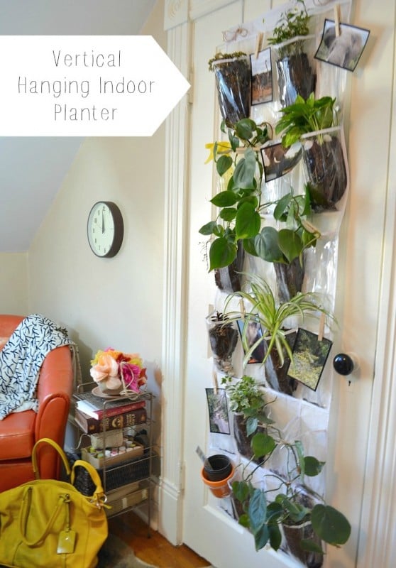 vertical hanging indoor planter