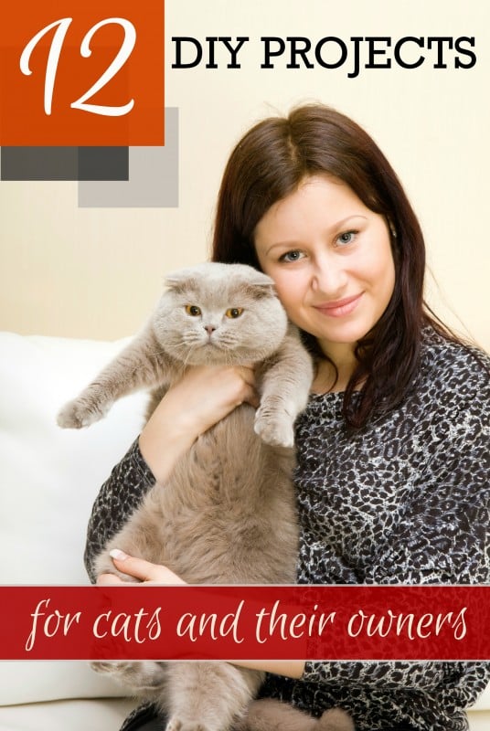 12 DIY Projects for Cats and Their Owners ~ Tipsaholic.com #cats #pets #cattoys