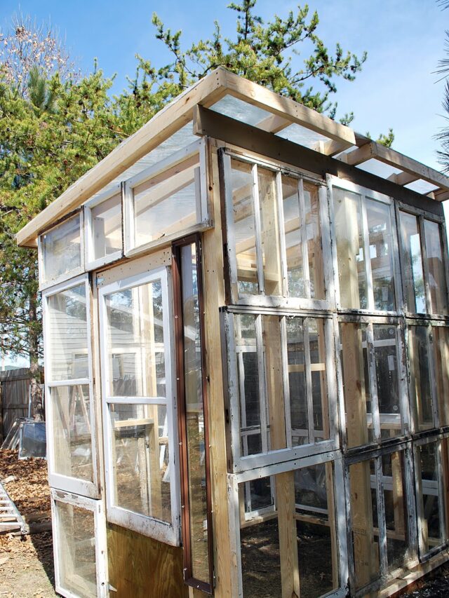 Cropped Sparta Savings Greenhouse From Old Windows Via Remodelaholic.jpg