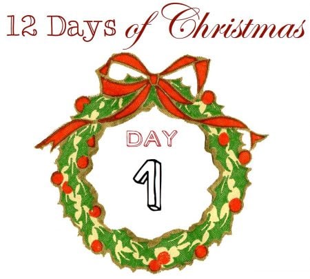 12DaysCOUNTER1
