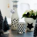songbird blog