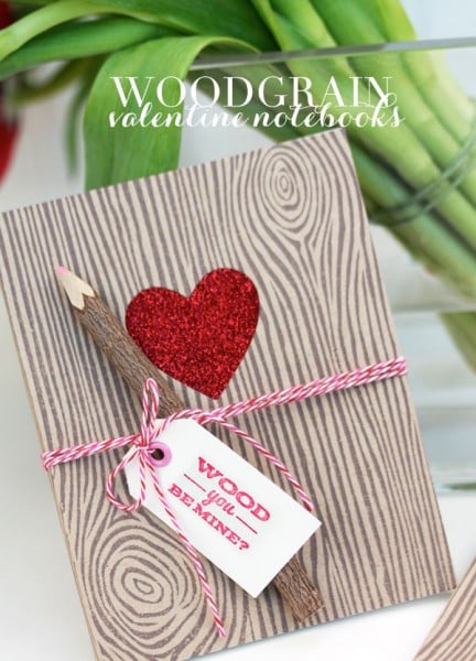 Need something a little creative for your guy this Valentine's? Get creative and whip up one of these 20 DIY Valentines for Guys - tipsaholic, #valentines #valentinesday #DIY #valentine's