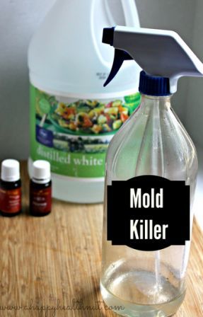 How to Make Your Own Thieves Oil for Under $12 a Bottle - Beauty in the  Crumbs