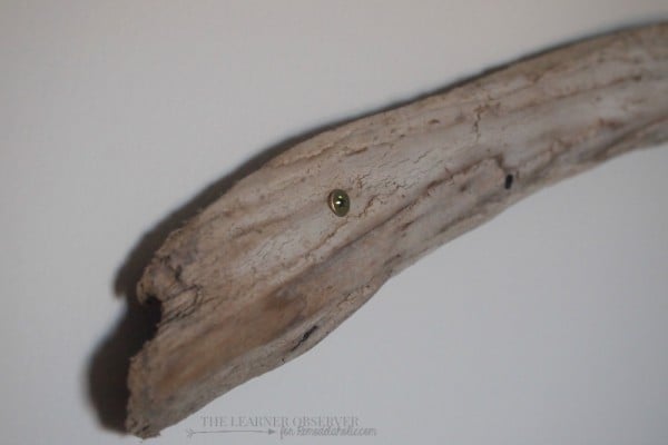 $5 DIY Driftwood Jewellery Organizer  The Learner Observer for Remodelaholic.com