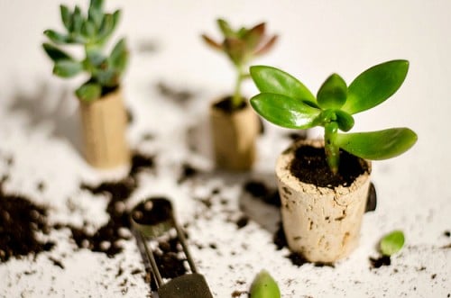 Do you save all of your wine corks? Here are 25 amazing wine cork DIY ideas for you to try! 25 Wine Cork DIY Ideas via tipsaholic.com #wine #corks #diy #projects