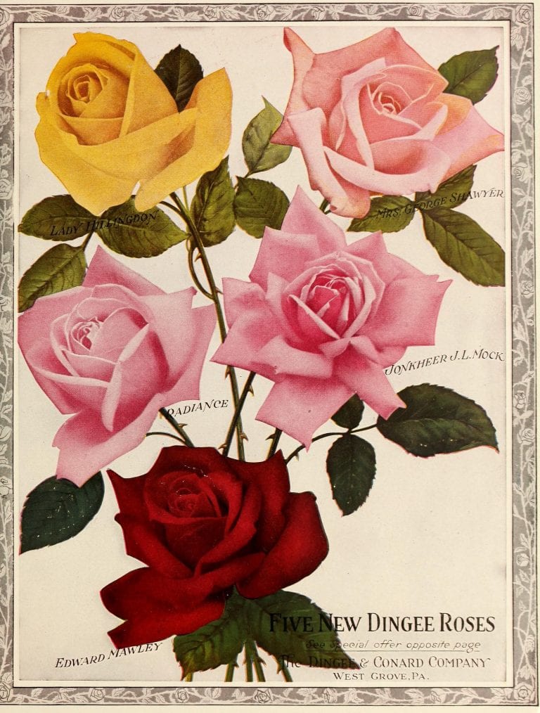 25 Free Printable Vintage Floral Images | Remodelaholic