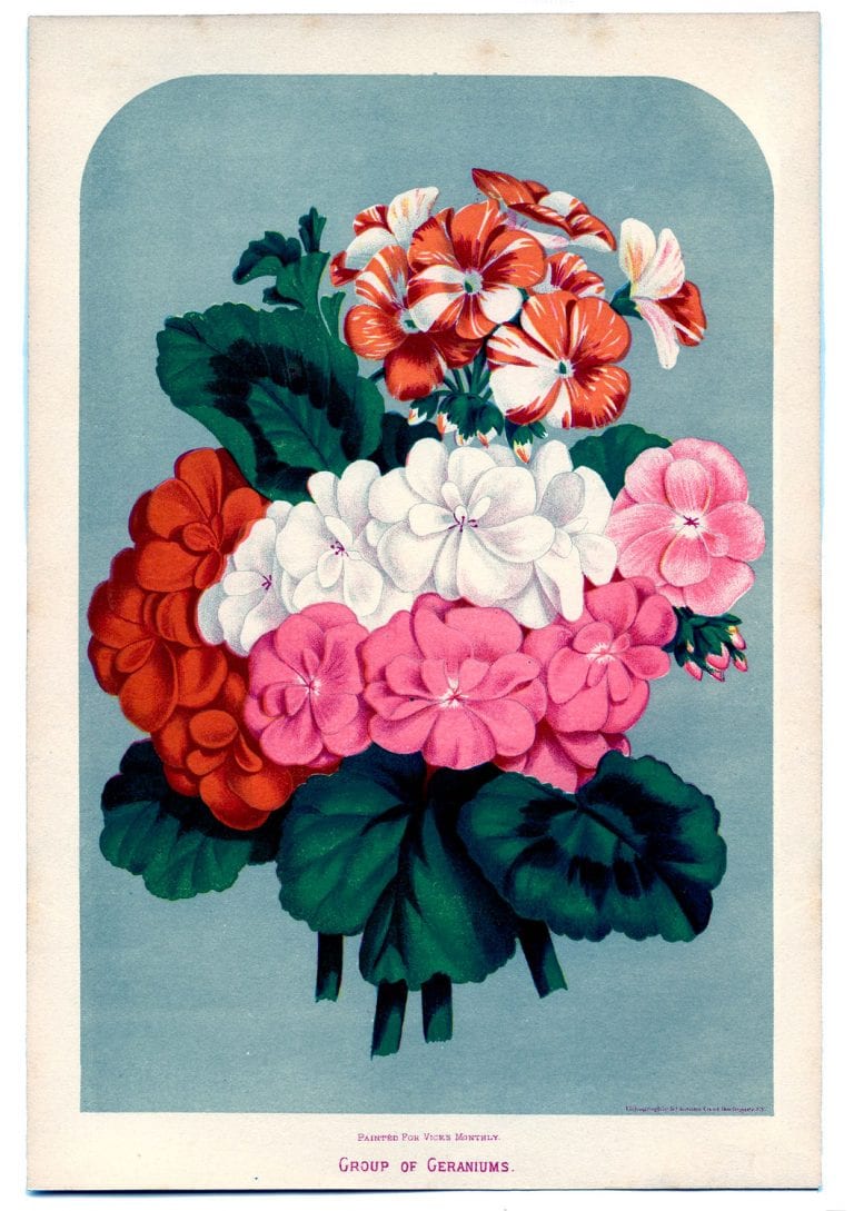 25 Free Printable Vintage Floral Images | Remodelaholic