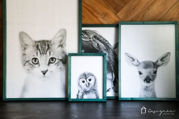 Diy Large Wall Art Prints And Framing, Designer Trapped