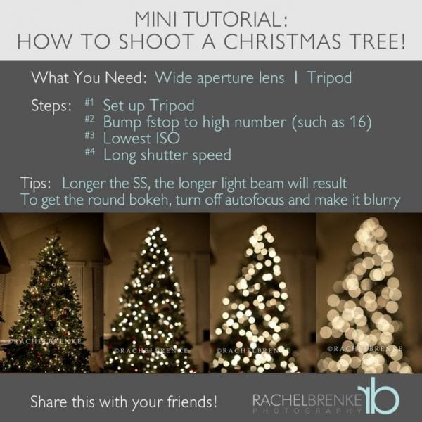 how to photograph a christmas tree