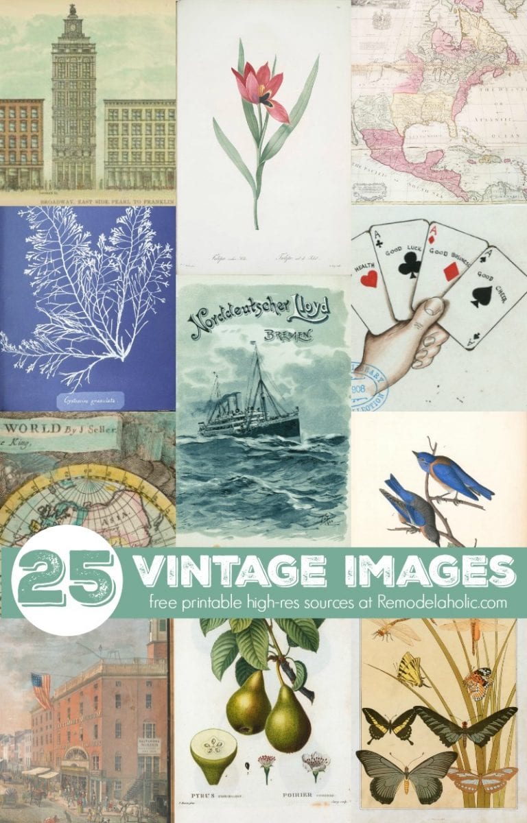 25+ Free Printable Vintage Images | Remodelaholic
