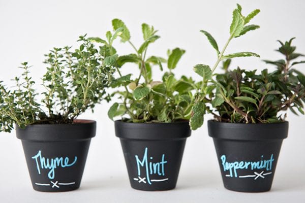 Chalkboard-Planters-Studio-1
