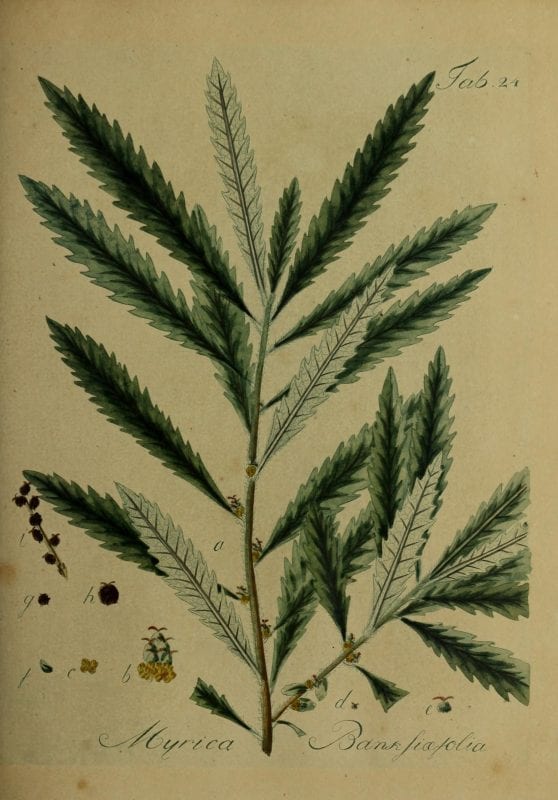 20